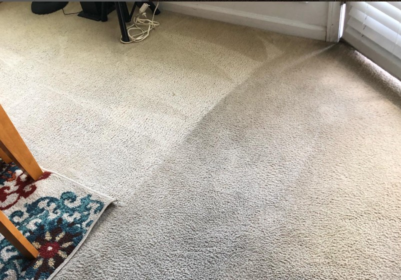 Pet stain removal before and after results